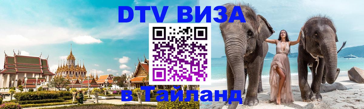 Сколько стоит DTV виза — актуальные цены, оформление даже без документов - Челябинск  19.11.2025 